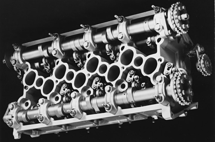 The apfelbeck head uncovered.